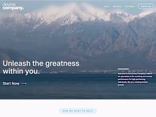 Web Design & Messaging for The Devine Co.