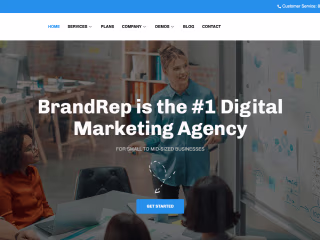 Web Designer For BrandRep