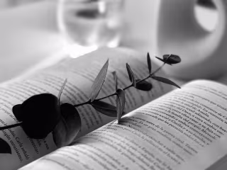 Editing Excellence: Enhancing Content for a Global Audience