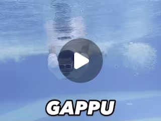 Ghoomakad Gappu on Instagram: “Life Is Better Below The Surface…