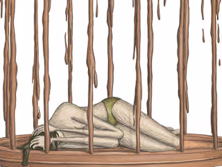 Houses-Cages (a lock down essay)
