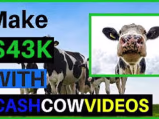I will make a professional cash cow channel, cash cow videos