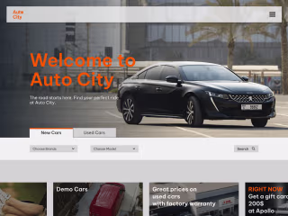 Auto City