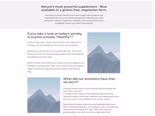 Website Homepage