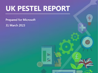 Illustrated Infographics for PESTEL Report