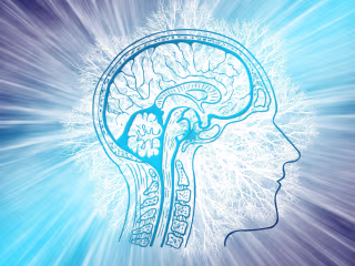 Journalism - Do Psychedelics Change Beliefs?