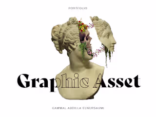 Graphic Asset (Previous Work)
