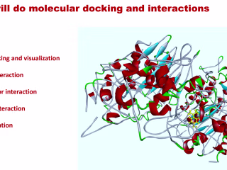 Molecular docking