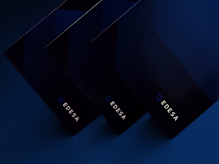 Brand Identity and Web Design for EDESA