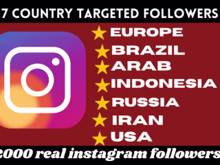 Give you 7 countries targeted 2000 real Instagram followers for…