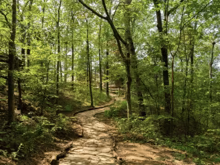 Designed Outdoor Tracking Class for Boston Outdoor School