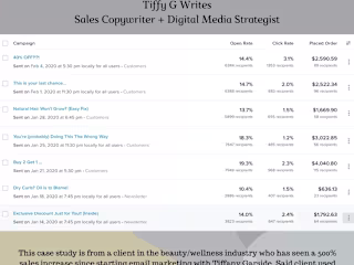 Email Marketing Case Study
