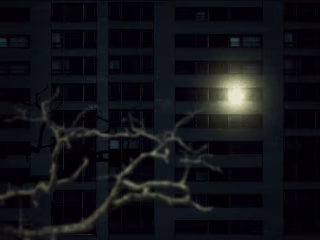 2D Image Manipulated Animation