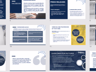 Communication strategies and organisations objectives (DYPALL)