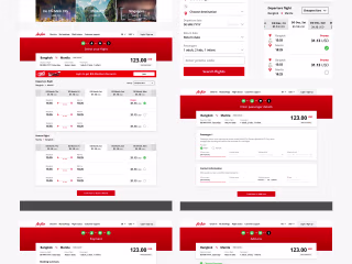 Airline website booking journey case study
