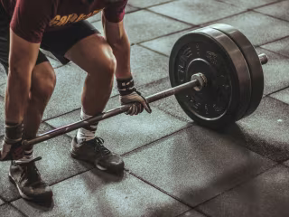The Ultimate Guide to Bicep Training: Tips, Techniques, and Work
