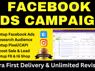 I will run facebook ads, shopify ads, shopify fb ads, instagram…