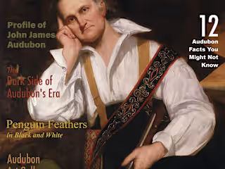 Magazine Cover 