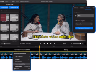 Subtitle Translator