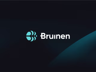 SaaS AI Platform for Data Management | Bruinen