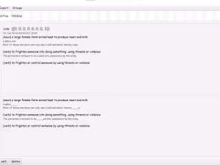 Desktop App for Vocabulary Memorization