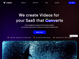 Vidify Agency website