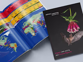 Impact + Annual Combined Report° 