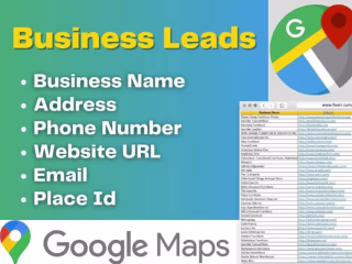 I will do data scraping lead generation google maps b2b.