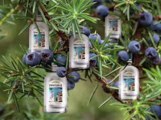 Social Media Marketing for 
Trouvaille Gin
