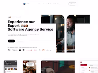 Telleosis - Software Agency Website