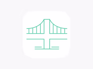 Bridge Health 4+