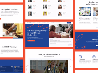 Lurnigo: Website Design