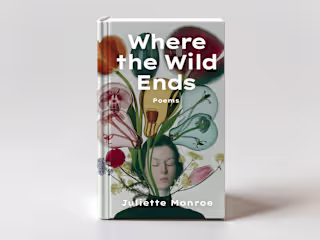 Book Covers - Visual Explorations