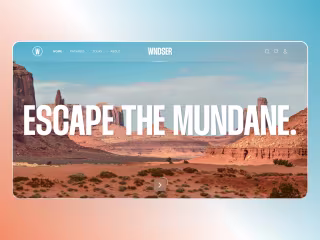 Travel website design