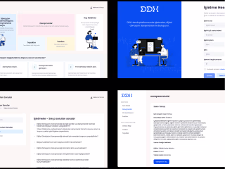 Web Based Platform Development: DDX Hamle with React & Strapi