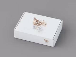 Box packaging
