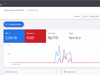 Website SEO with google ads
