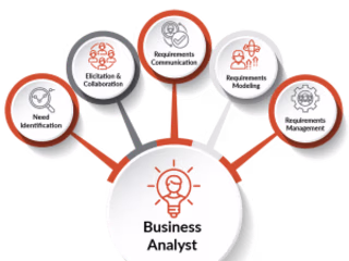 Business Analysis