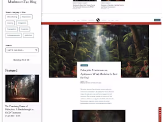 MushroomTao | Design & Development of blog 