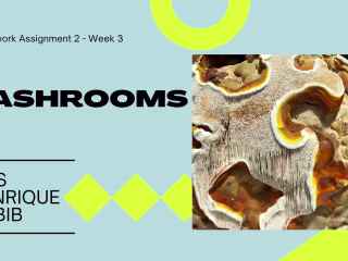 Trend Report - Mushrooms in Fashion
