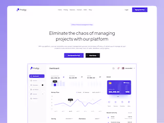 Prodigy - Fintech | UX/UI Web and Webflow Development