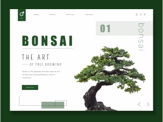 BOSAI SHOP / LANDING PAGE