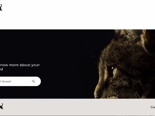 Catwiki