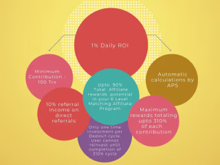 I will design a professional whitepaper for your content