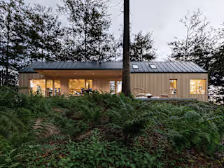 Forest House Architecture Concept and Visualization