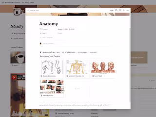 Notion Digital Art Study Guide!