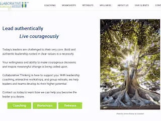 Collaborative Thinking Leadership WordPress development