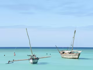 SEO Blogs Case Study: Guide to Madagascar Travel Blogs