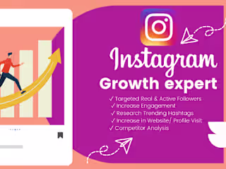 Instagram Growth Expert