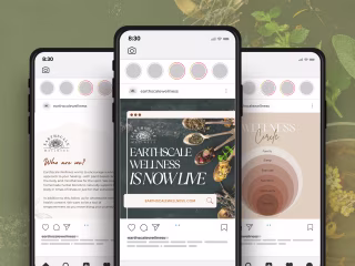 EarthScale Wellness | Brand Revitalization 